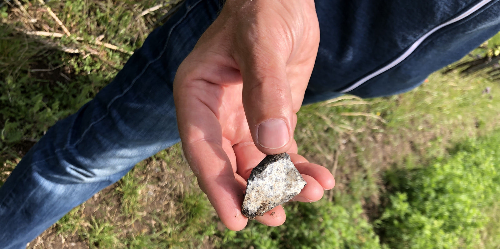Mineralität