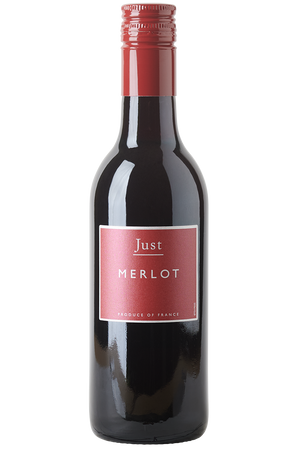 Eine Flasche Rotwein in einer kleinen Bordeaux-Flasche mit einem roten Schraubverschluss.