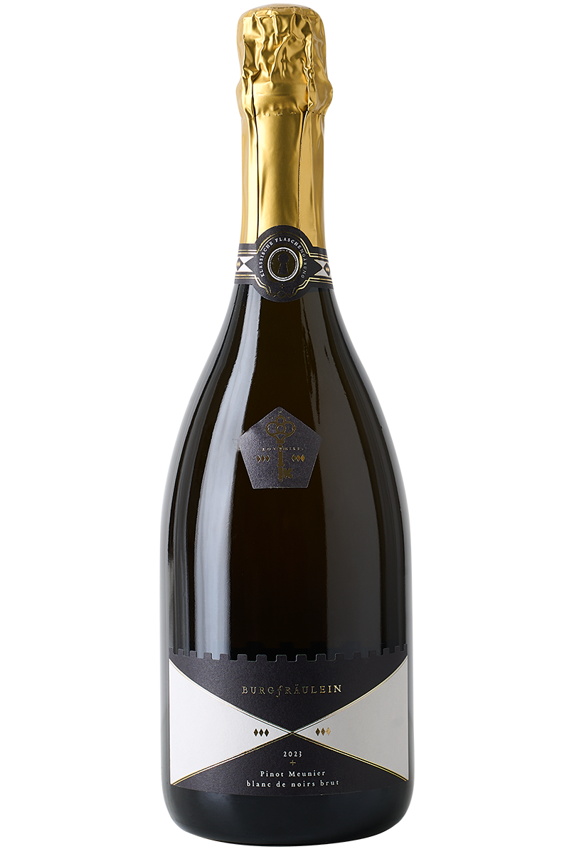 Eine Flasche deutscher Winzer Sekt Flaschengärung aus Pinot Meunier in einer Sektflasche mit goldener Kapsel.