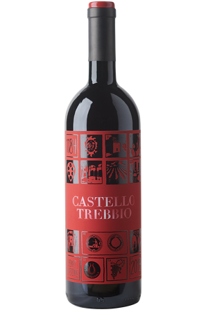 Eine Flasche italienischer Bio Rotwein in einer Bordeauxflasche mit schwarzer Kapsel.