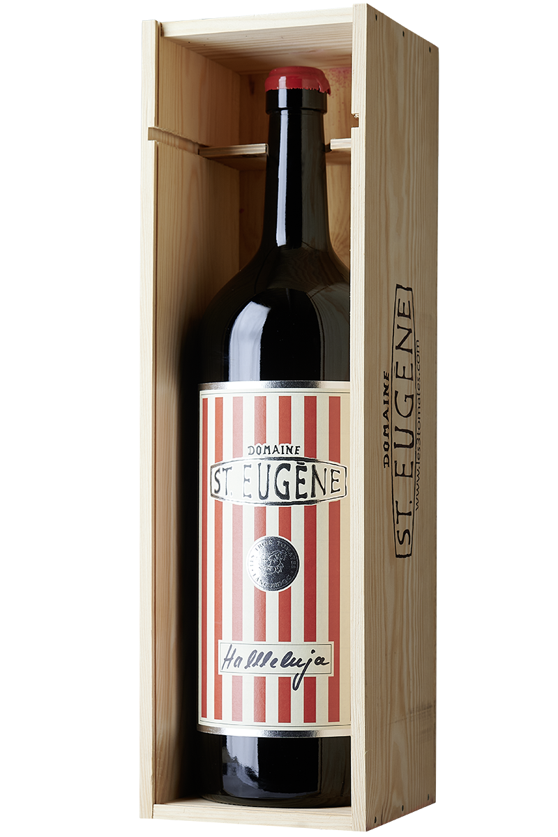 Eine Flasche französischer Rotwein Cuvée in einer 5 LIter Jeroboam Weinflasche ohne Kapsel.