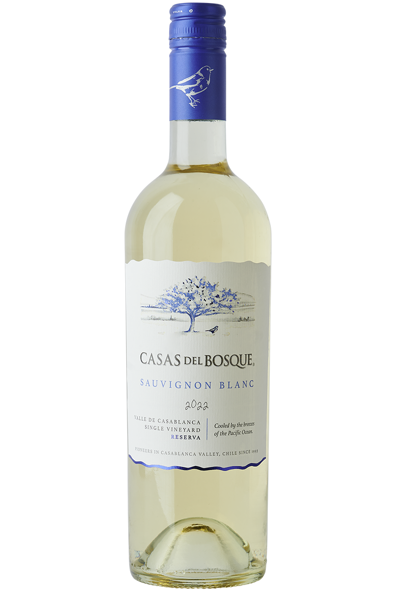 Eine Flasche chilenischer Weisswein in einer Bordeaux Flasche mit blauem Schraubverschluss.