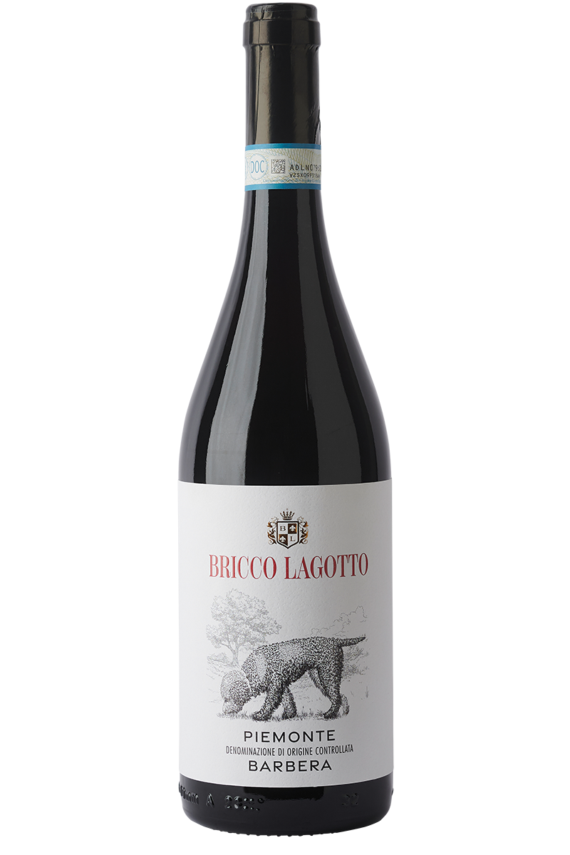 Eine Flasche italienischer Rotwein in einer Burgunder Flasche mit schwarzer Kapsel.