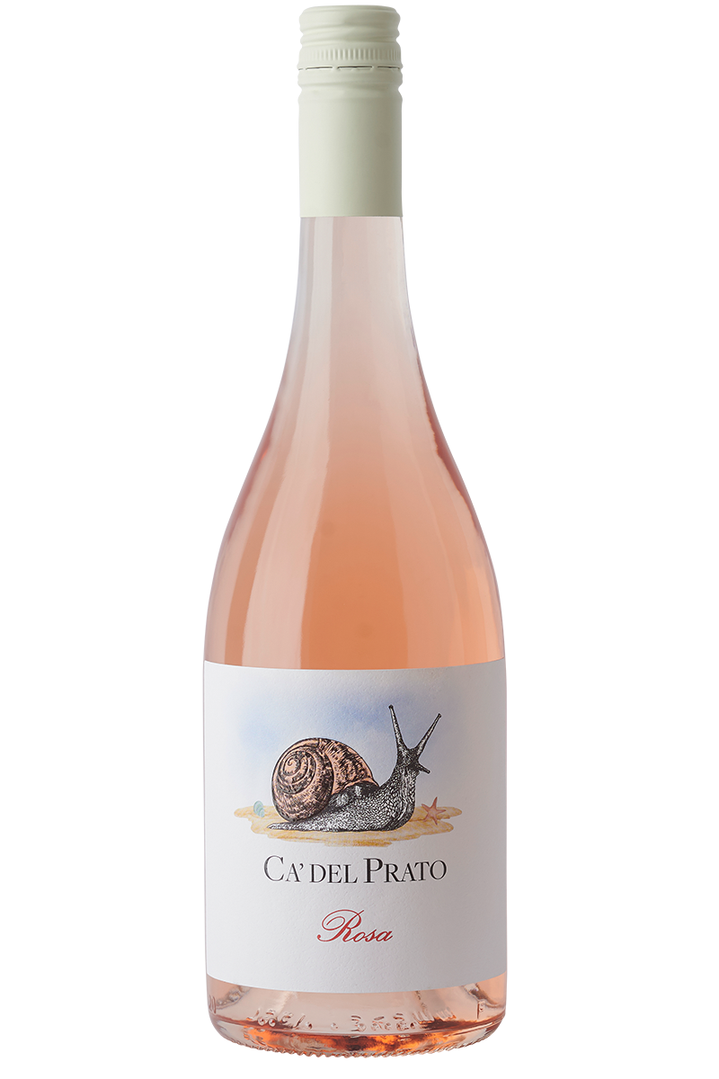 Eine Flasche italienischer Rosé Wein in einer Burgunder Flasche mit weissem Schraubverschluss.