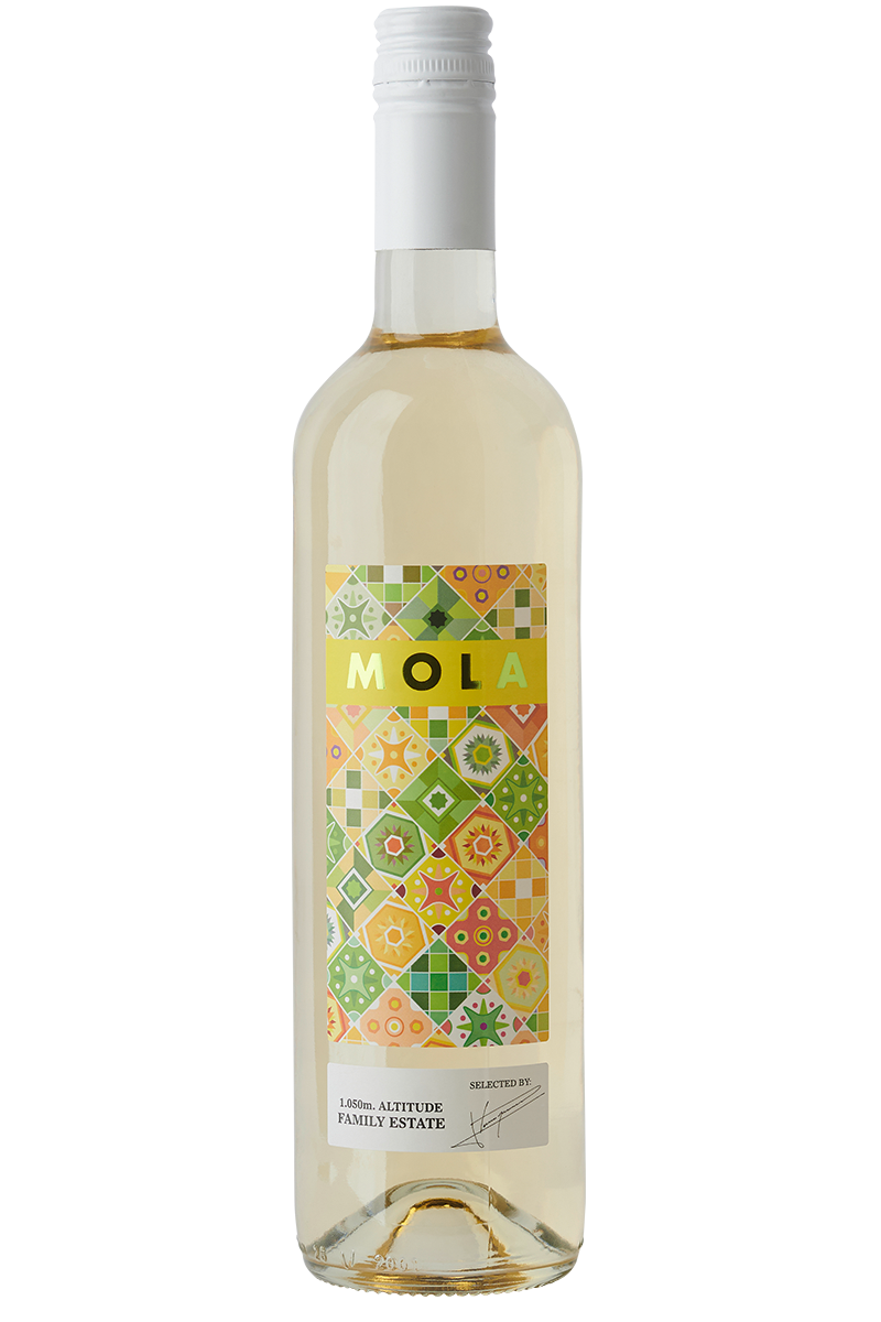 Eine Flasche spanischer Weisswein in einer Bordeaux Flasche mit weissen Schraubverschluss.