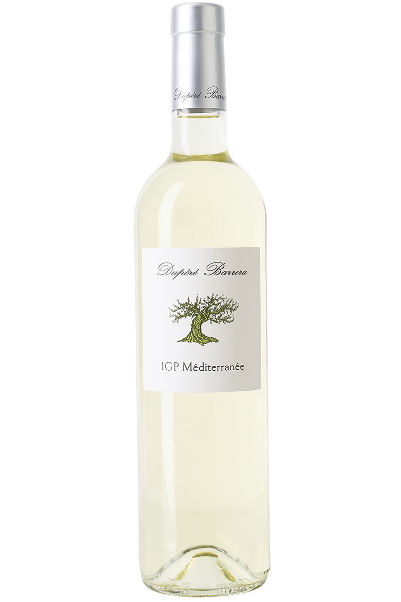 Eine Flasche französischer Bio Weisswein in einer Bordeaux Flasche mit einer silbernen Kapsel.