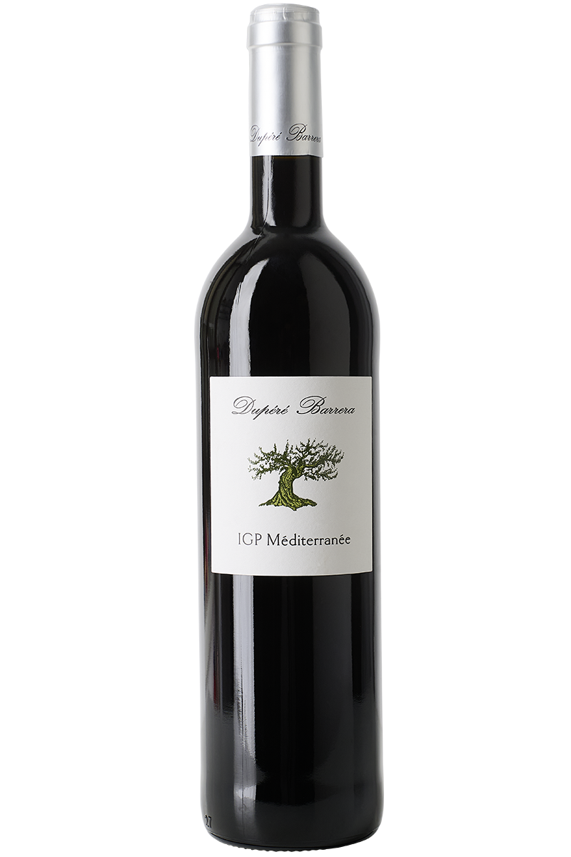 Eine Flasche französischer Bio Rotwein in einer Bordeaux Flasche mit einer silbernen Kapsel.