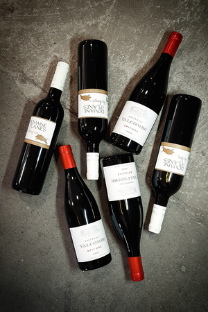 Ein Packet mit sechs Flaschen französischen Bio Rotwein bestehend aus drei Flaschen Ventoux und drei Flaschen Sanglier.